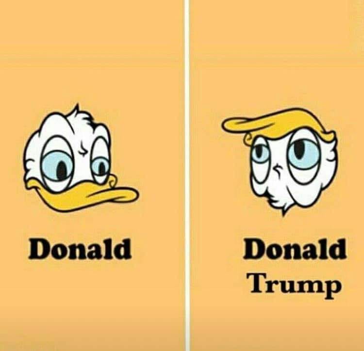 donald.jpg