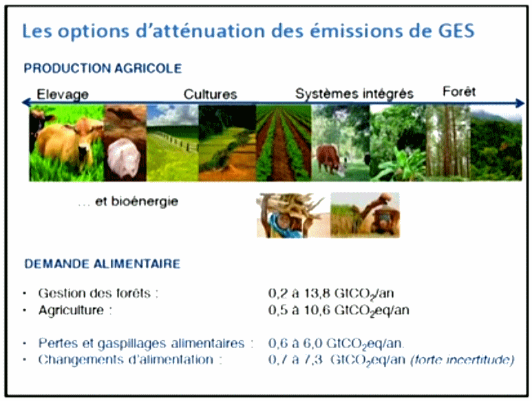 گزینه های ذخیره سازی CO2. gif