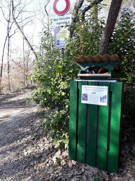 Container Müll Natur 3.jpg