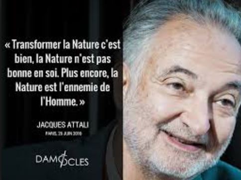 نقل قول attali.JPG