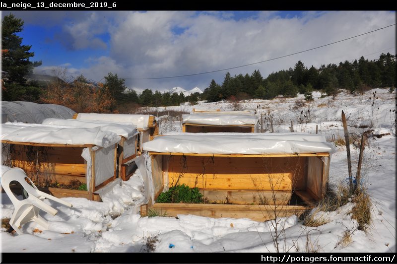 la_neige_13_decembre_2019_6.JPG