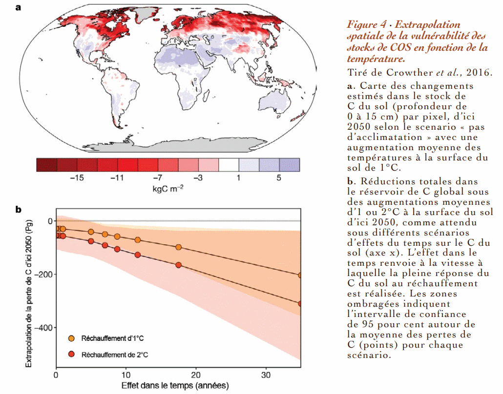 Carbonet ° .gif