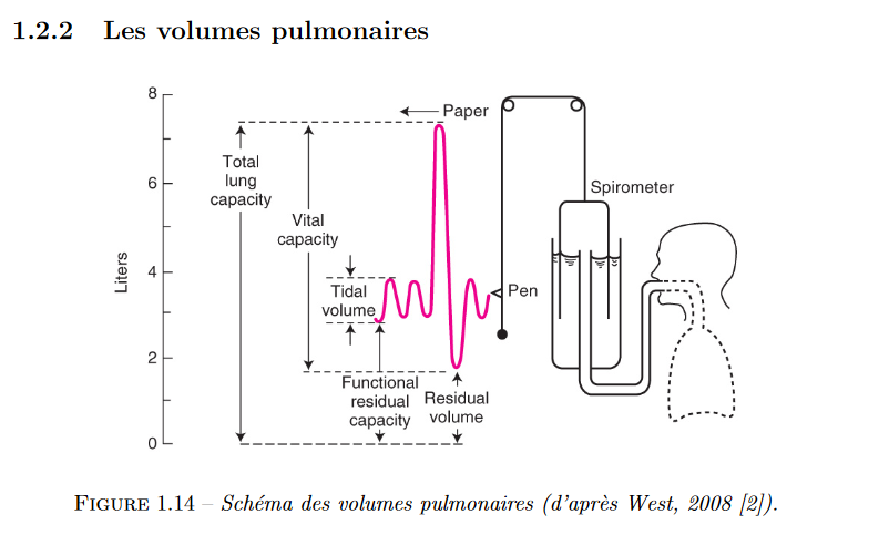 Screenshot_2020-04-03 Pulmoner acinus içinde oksijen taşıma ve transfer dinamikleri - document.png