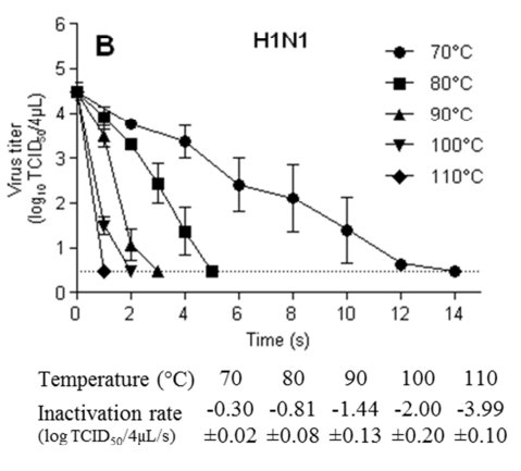 ማገድ_H1N1.jpg