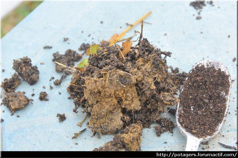 tierra_del_vivero_de_las_ensaladas_2.JPG