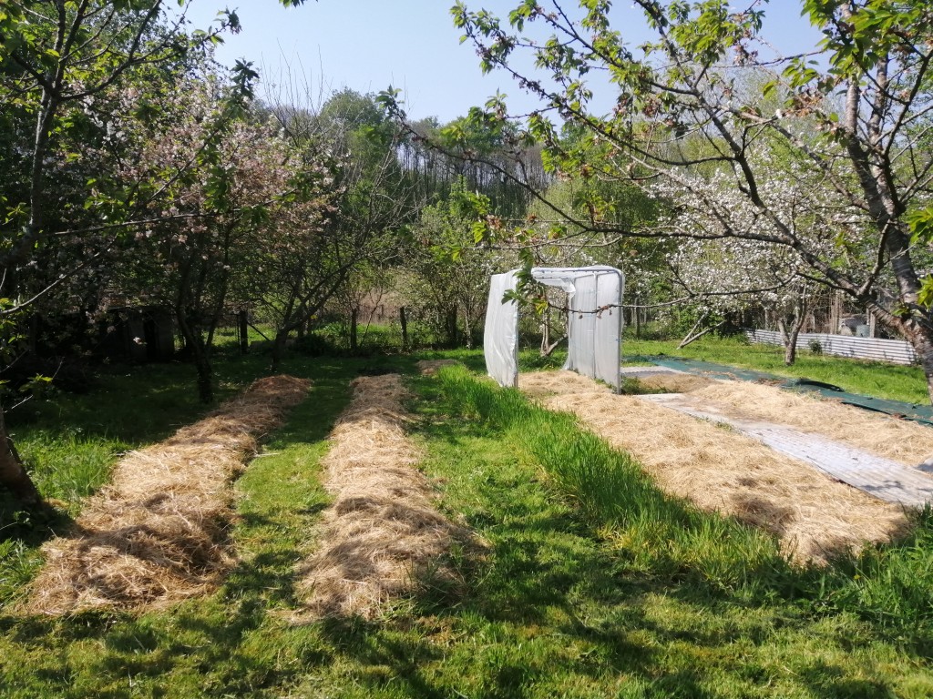 giardino13aprile2020_2.jpg