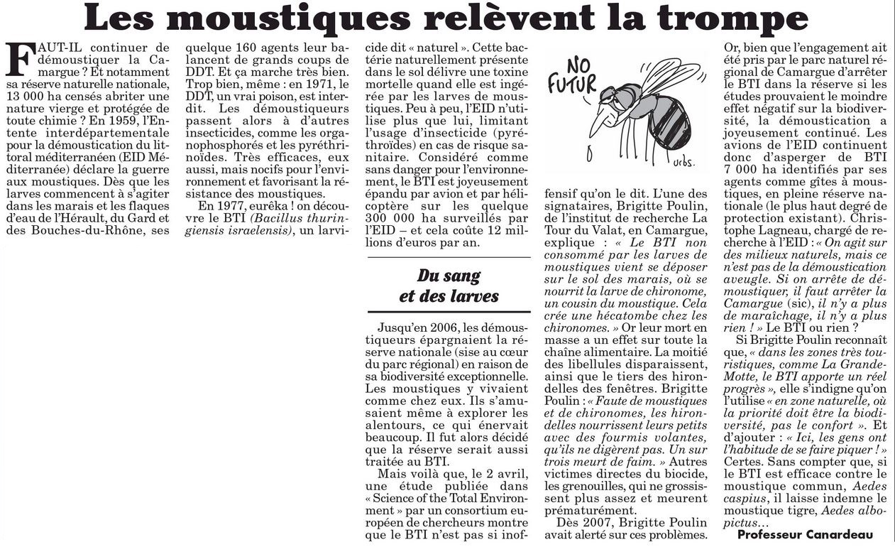 MosquitosCamargueByNatural.JPG