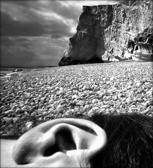 Bill Brandt East Sussex-1957.jpg