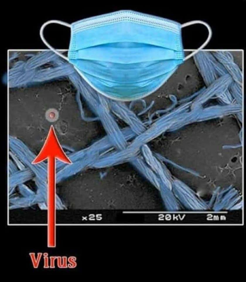 virus_scale_mask.jpg