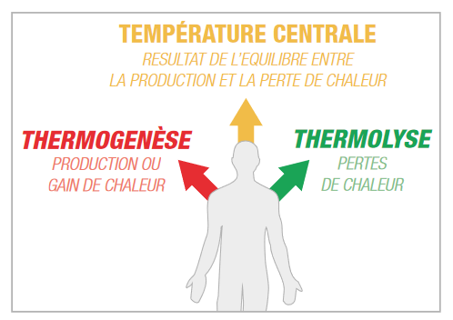 Screenshot_2020-08-07 2020-06-presentation_gamme_thermo-luc_saint-luc(1) pdf.png