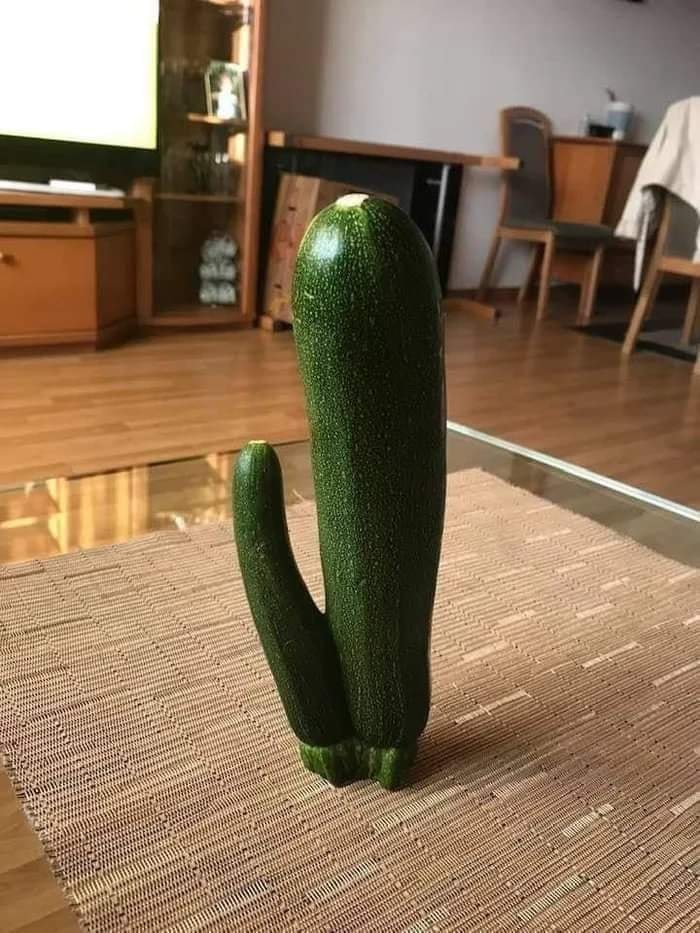 zucchine.jpg