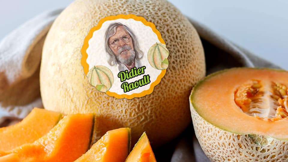 RaoultMelon.jpg