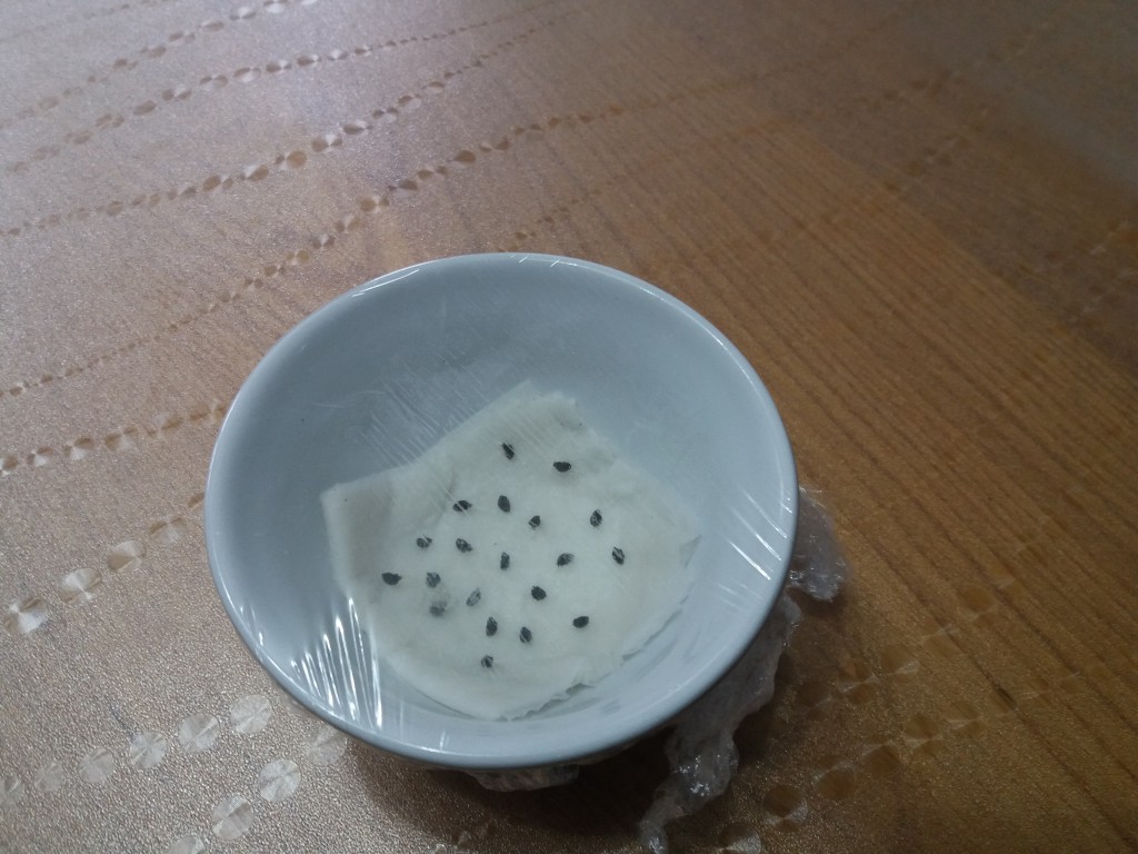 leek germination test.jpg