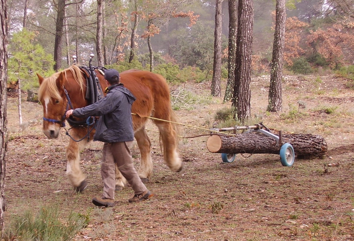 bale trinque & log grabber (8).jpg