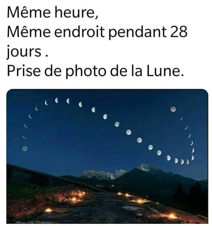 lunar_cycle.jpg