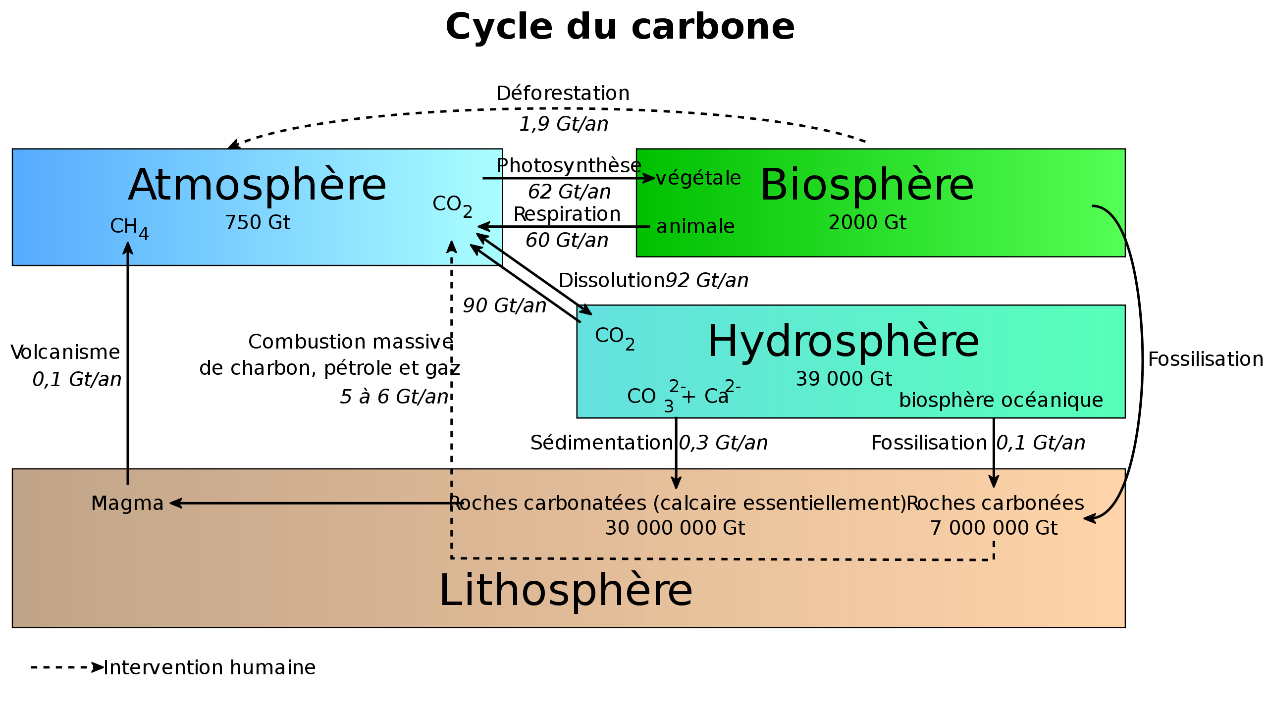 Cycle_du_carbone2.svg.png