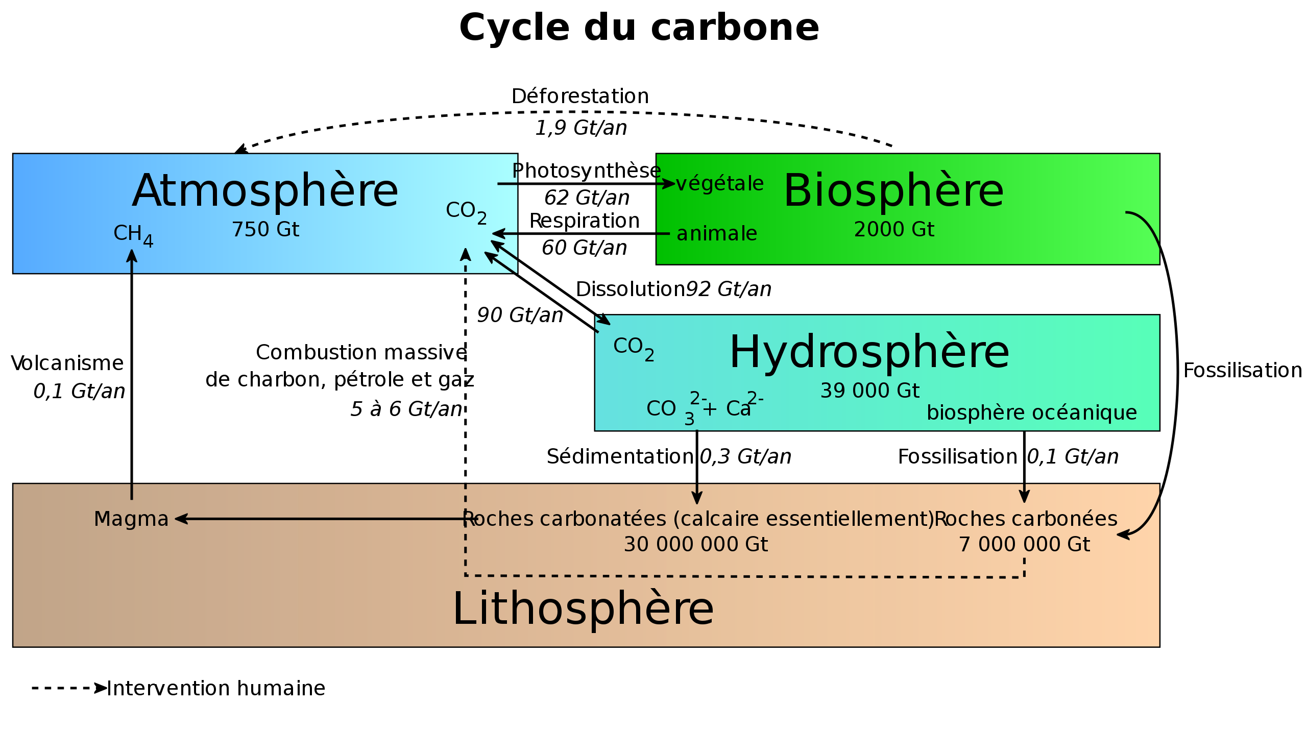 Carbon_cycle2.svg.png