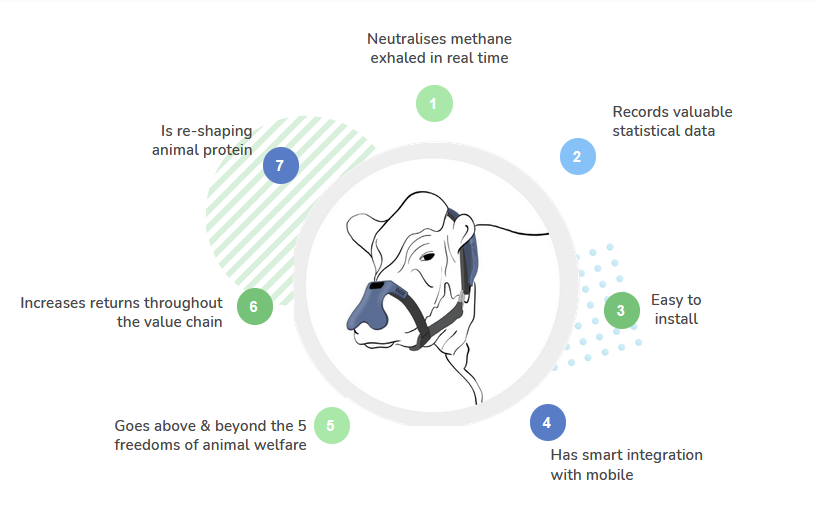 mask-cow-burps-methane-2.png