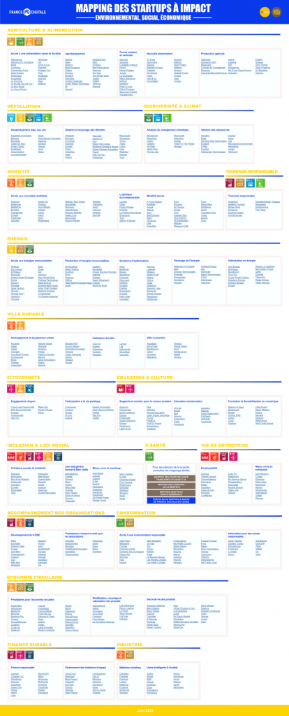 Bpifrance_FranceDigitale_mappingImpact_V3.6_resized_trueblue-1160x2866.png