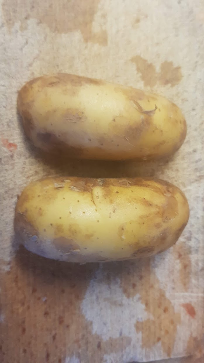 potato_de_potrée_2.jpg