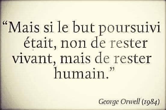 Societe Citations Et Slogans En Images Qui Font Reflechir Page 22