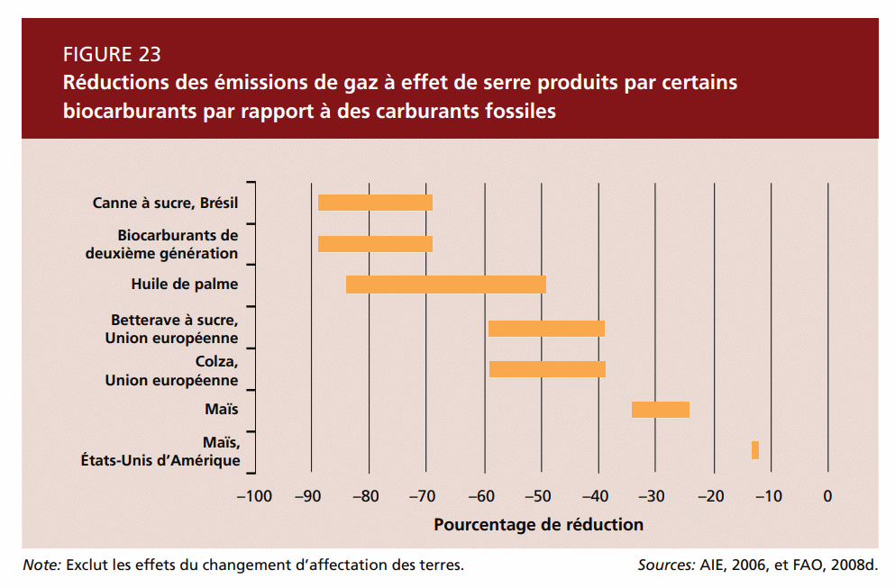 biocarburantiFAO.gif