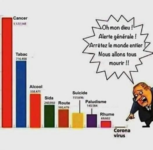 Beeld