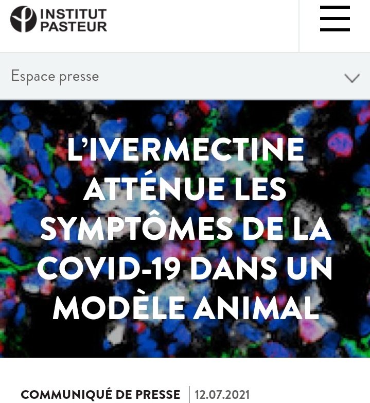 IVM_Pasteur.jpg