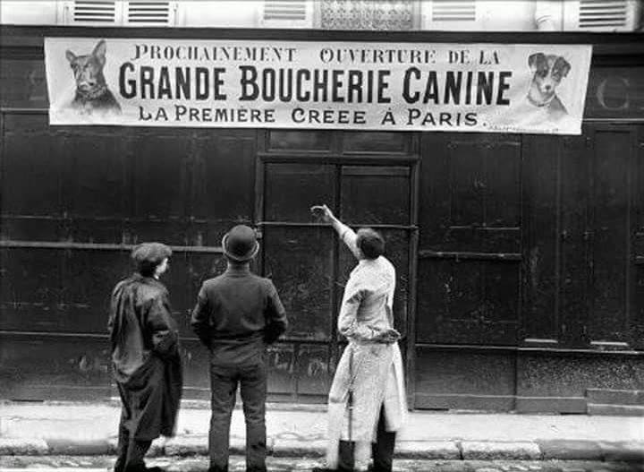 Boucherie_Canine.jpg