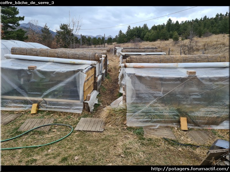 trunk_bâche_de_greenhouse_3.jpg