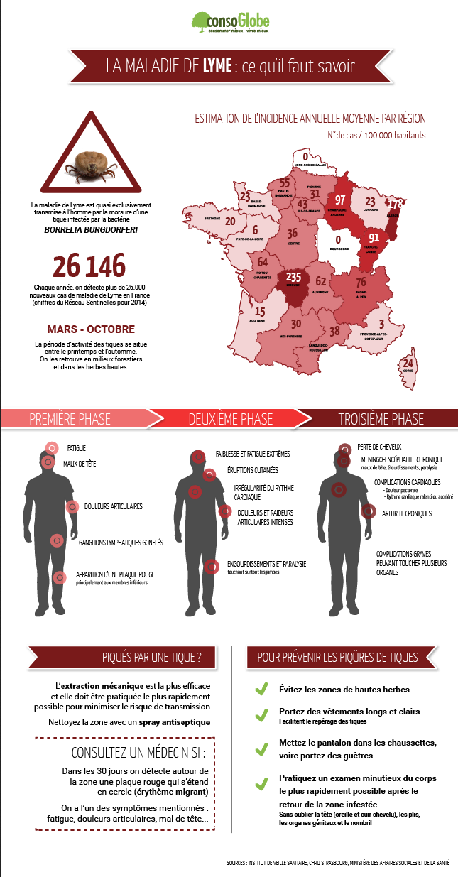 Captură de ecran 2022-05-30 la 10-40-40 lyme-disease.png (imagine WEBP 645 × 1235 pixeli).png