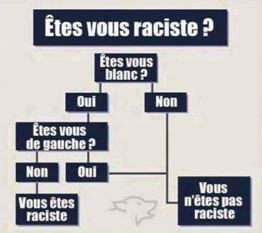 raciste.jpg