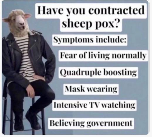 sheep pox.jpg