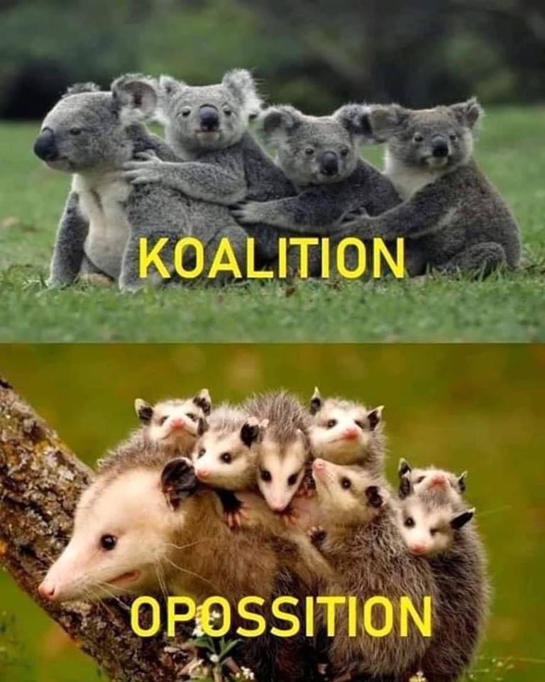 Koalisyon.jpg