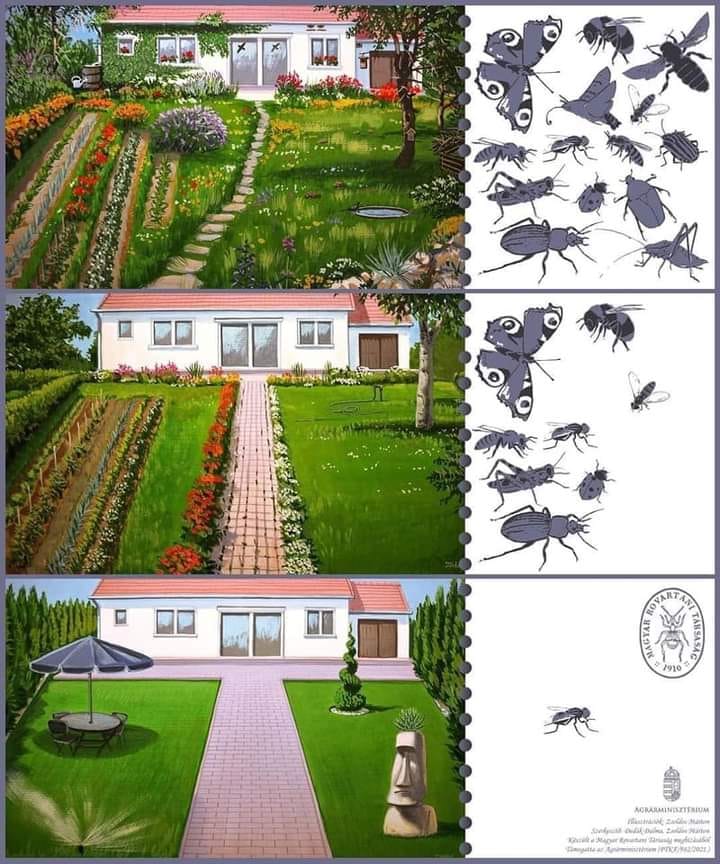 تنوع زیستی در باغ.jpg