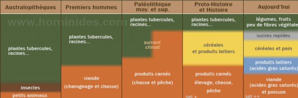 אוכל בפרההיסטוריה - Hominides.png