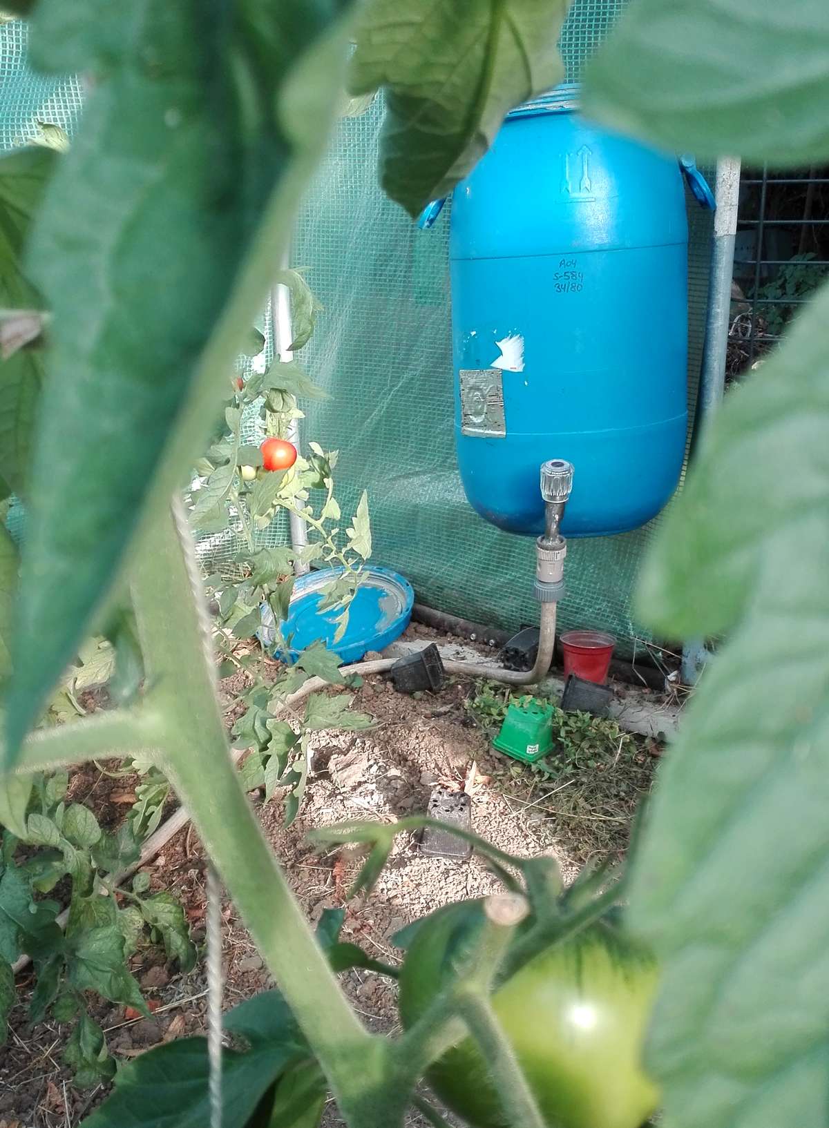 gravity irrigation.jpg