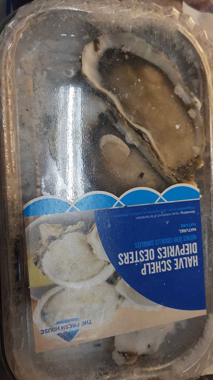 oyster קפוא.jpg