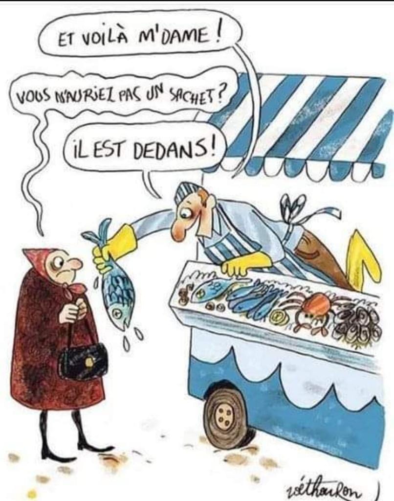 Il n'est pas beau mon poisson....jpg