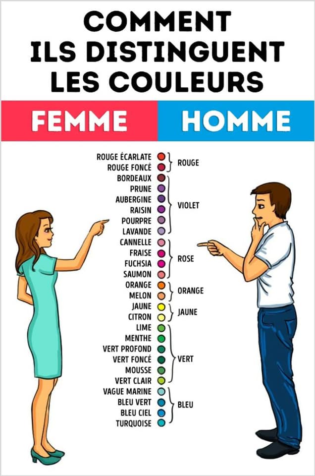 couleur homme femme.jpg