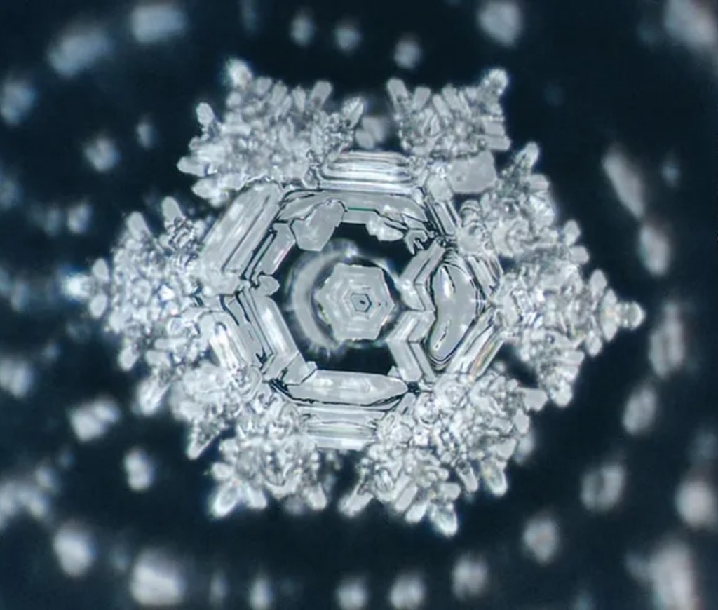 (C) MASARU EMOTO.jpg