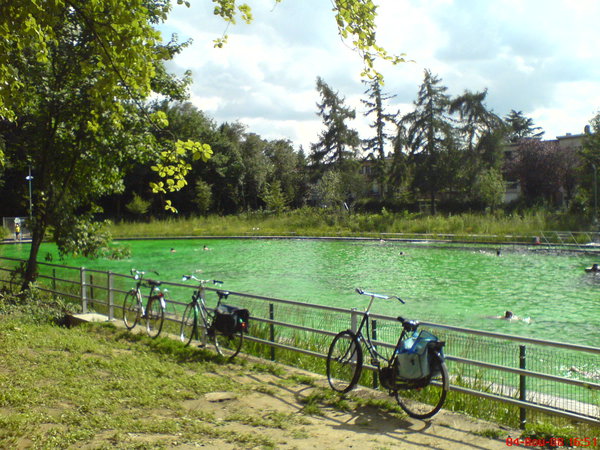 pool-ekologiczny-pic537.jpg