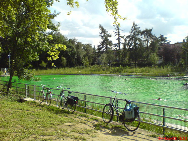 Piscina-ecologic-pic537.jpg