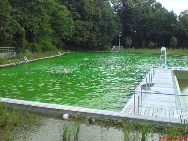 pool-ekologiczny-pic534.jpg