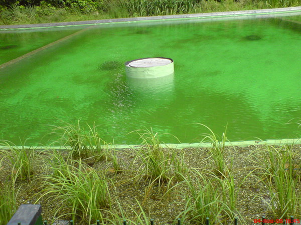 pool-ecologische-pic530.jpg