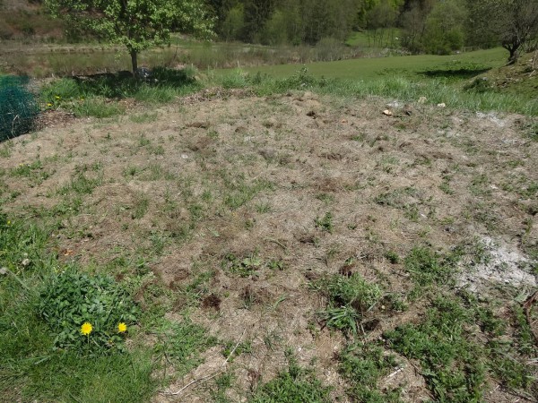 potager_paresseux_ardennes_DSC06036.JPG