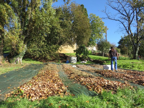 Październik 2016-1.JPG