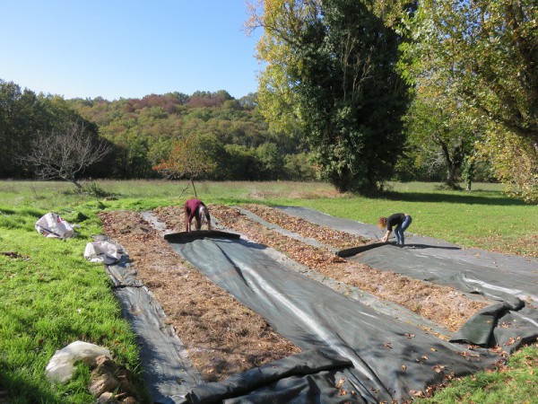 Październik 2016-2.JPG