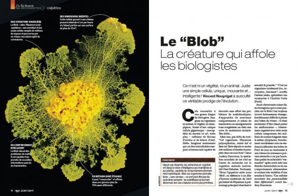 Discover the Blob-the-creatura care-the-panica-biologistes_width1024.jpg