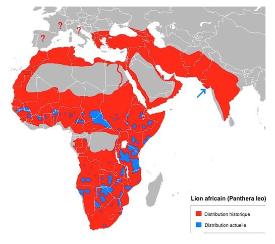 Distribución du león africain_width545.jpg